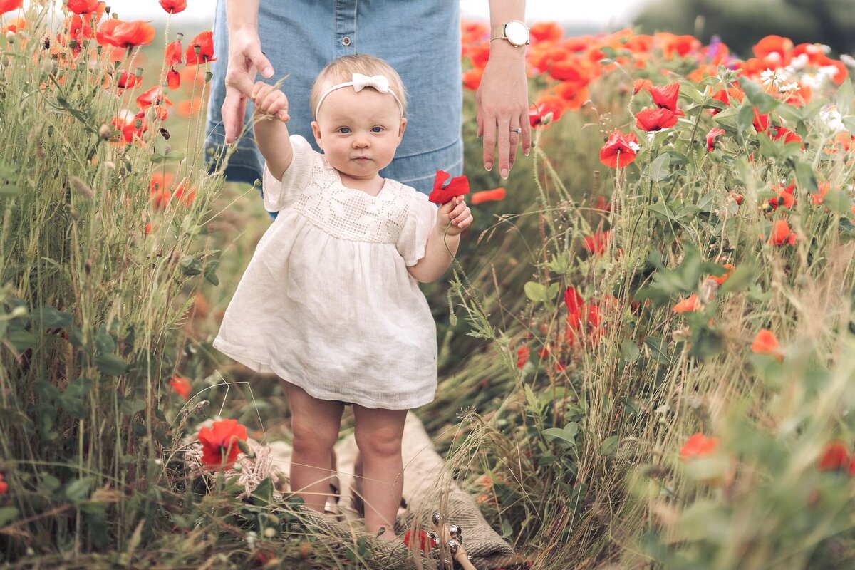 baby walking through tulip field