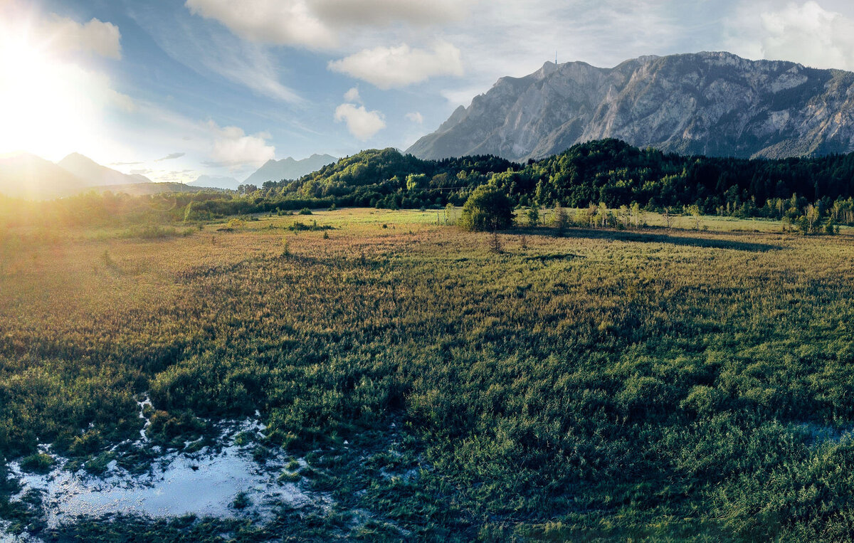Weite Wiesenlandschaft mit Blick auf den Dobratsch in Kärnten – ruhige Naturaufnahme aus der Vogelperspektive für Werbung, Tourismus und Editorials
