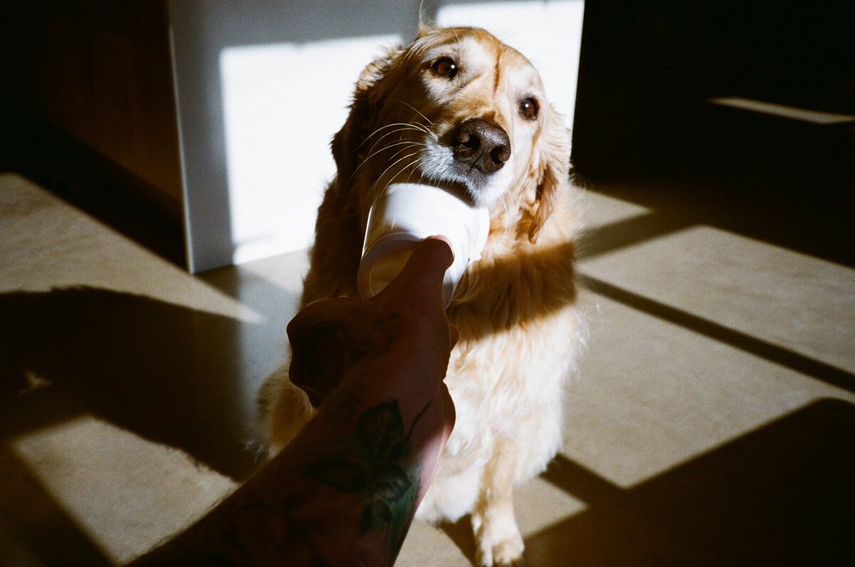 film-wedding-photographer-ireland-35mm-luxury (2)