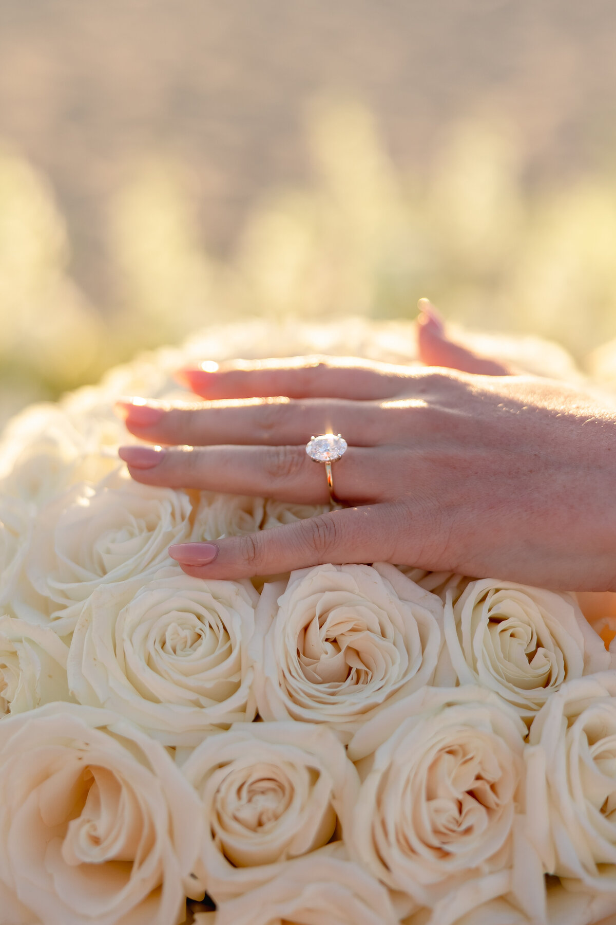 MCproposal-120