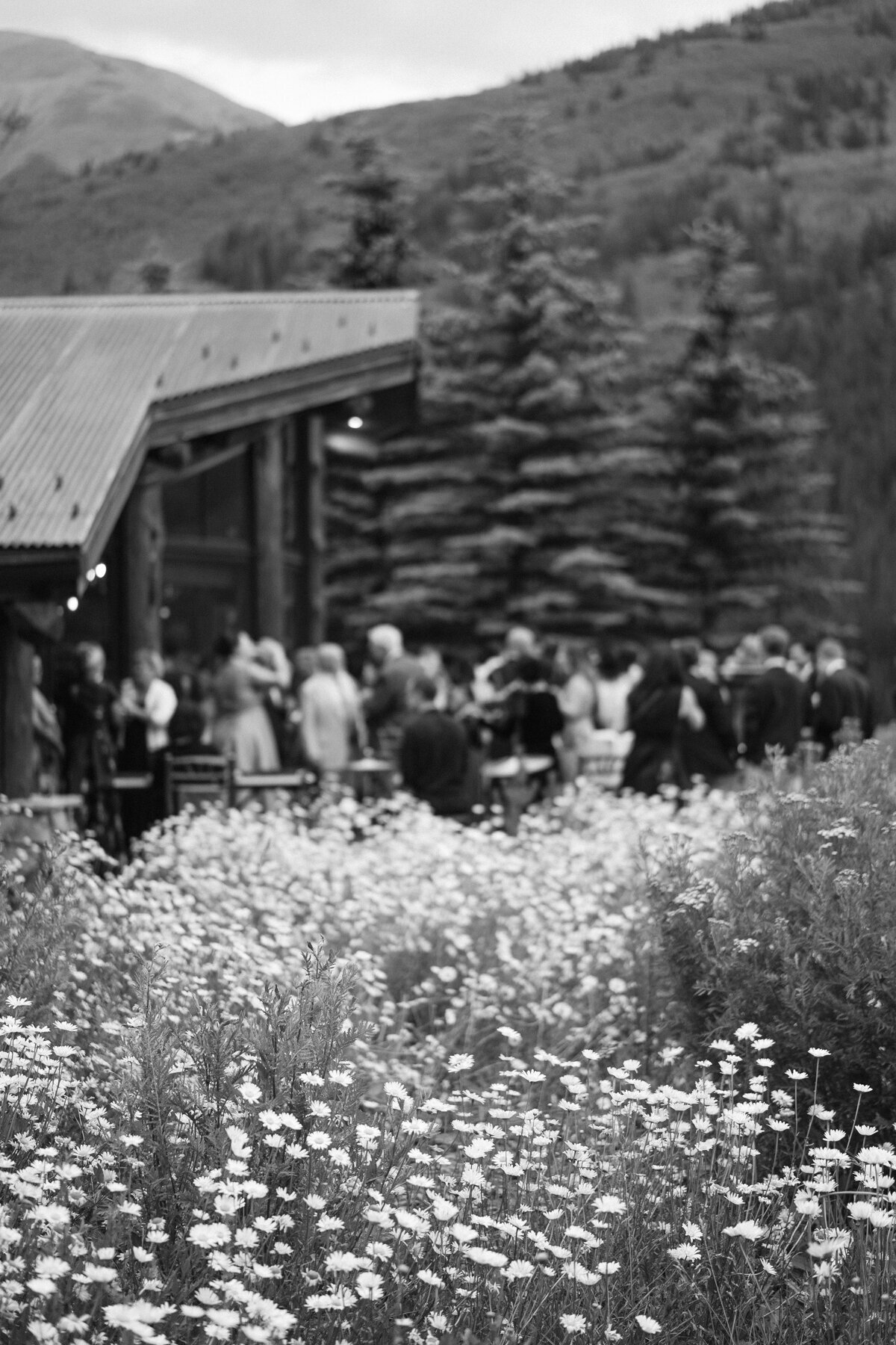 AspenSummerWedding_0160