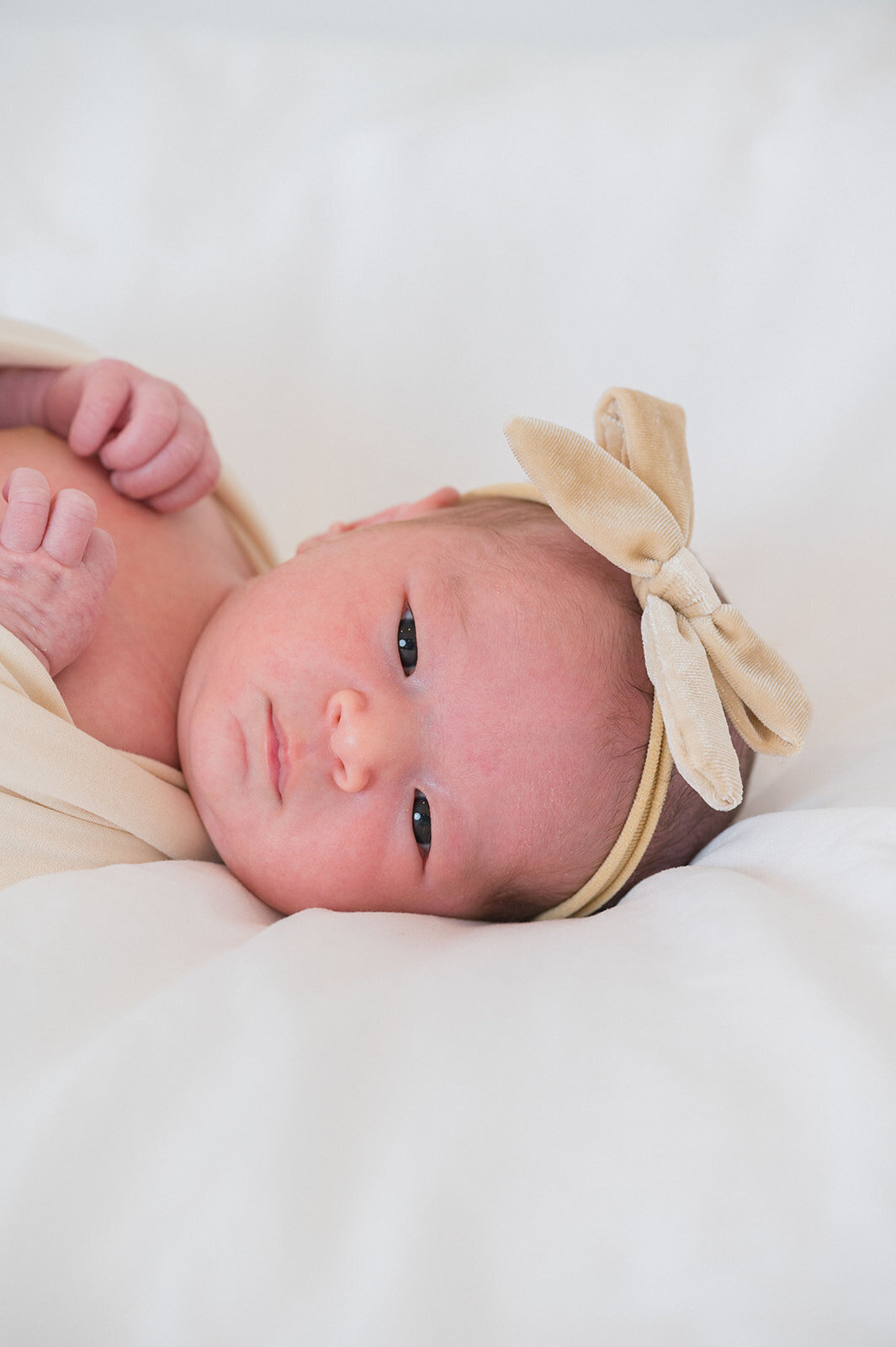 carmen_may_photography_farmington_pa_newborn_baby_photos-3