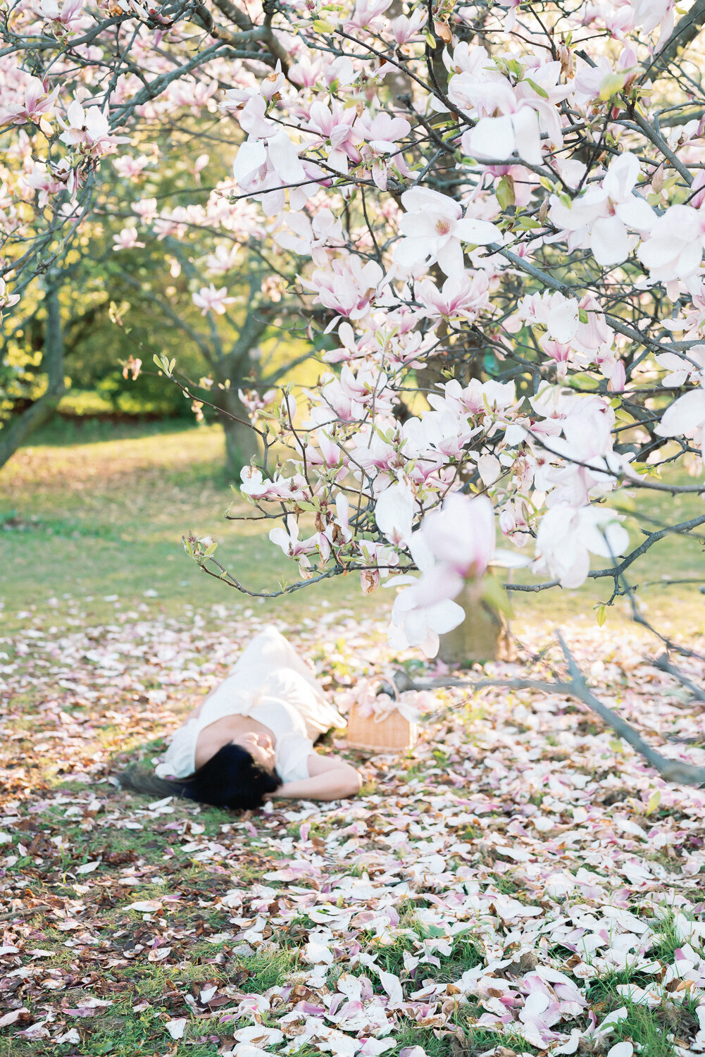 Brooke Lacombe is an Ottawa, Ontario based maternity photographer, specializing in motherhood, maternity, newborn and family fine art photography.