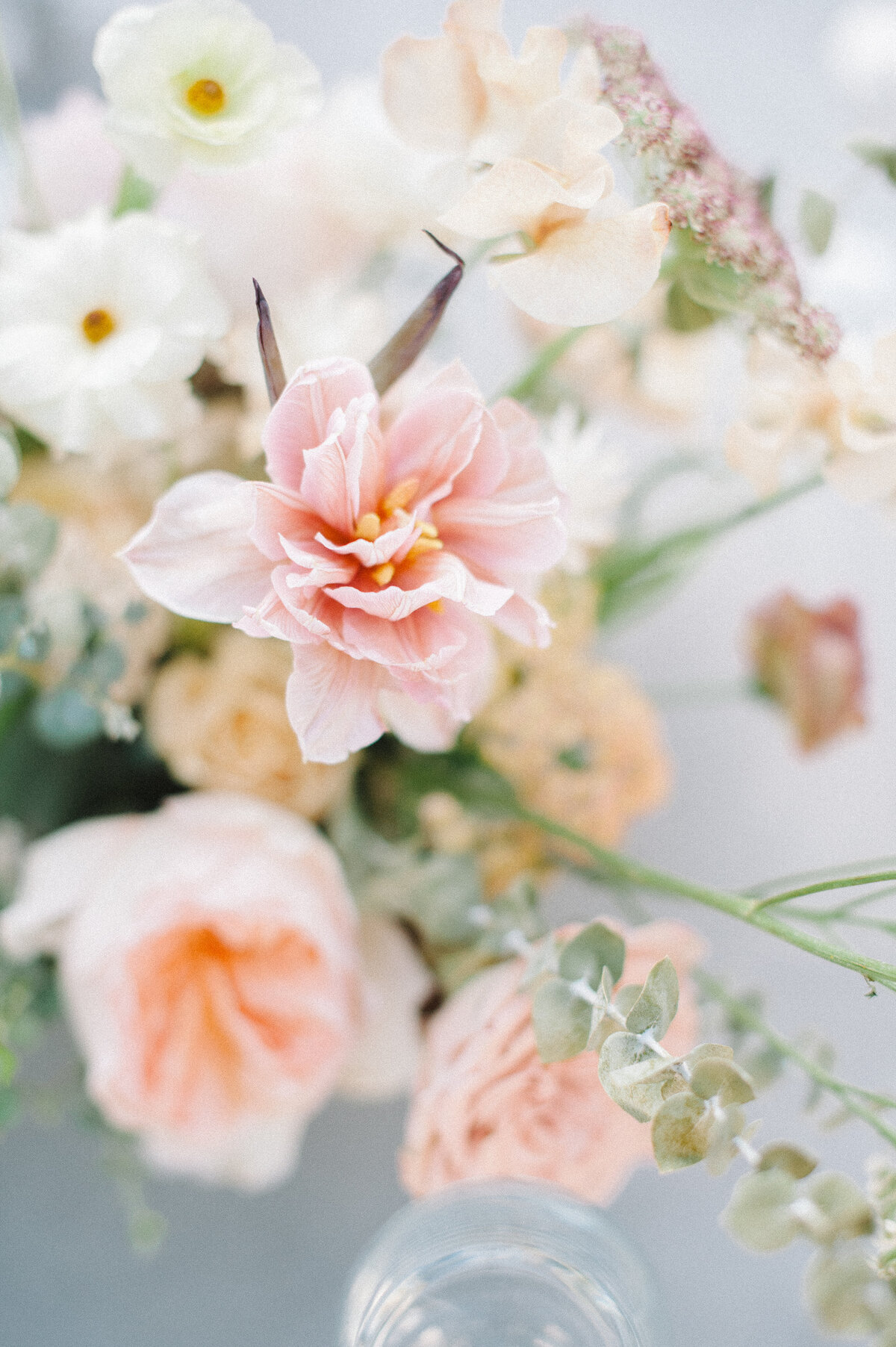 DellaCliffordWed-00423