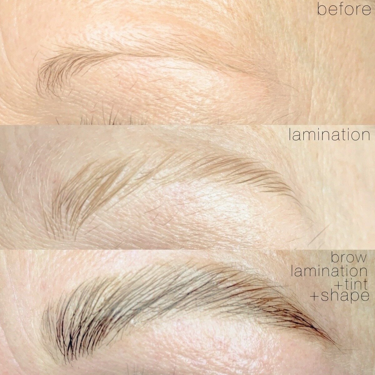 brow lamination before after sal