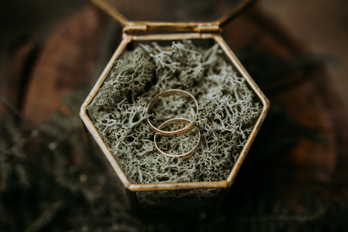 wedding-rings-EJY8GDM