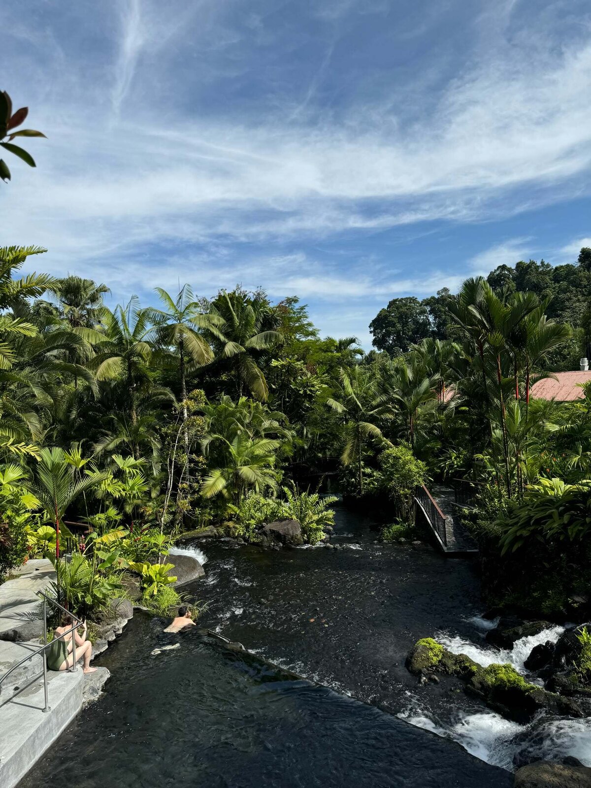 river surrounded by tropical foliage