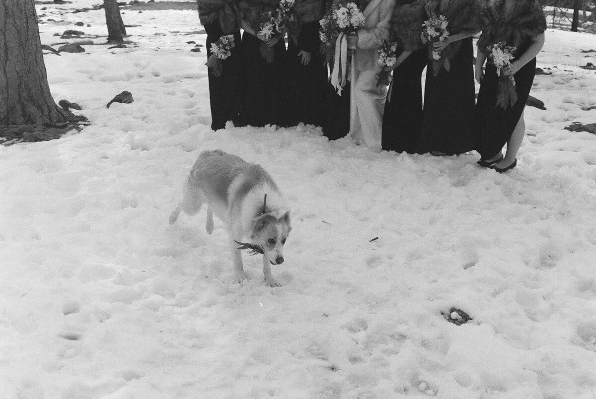 COlorado Wedding_KIkICreates -017