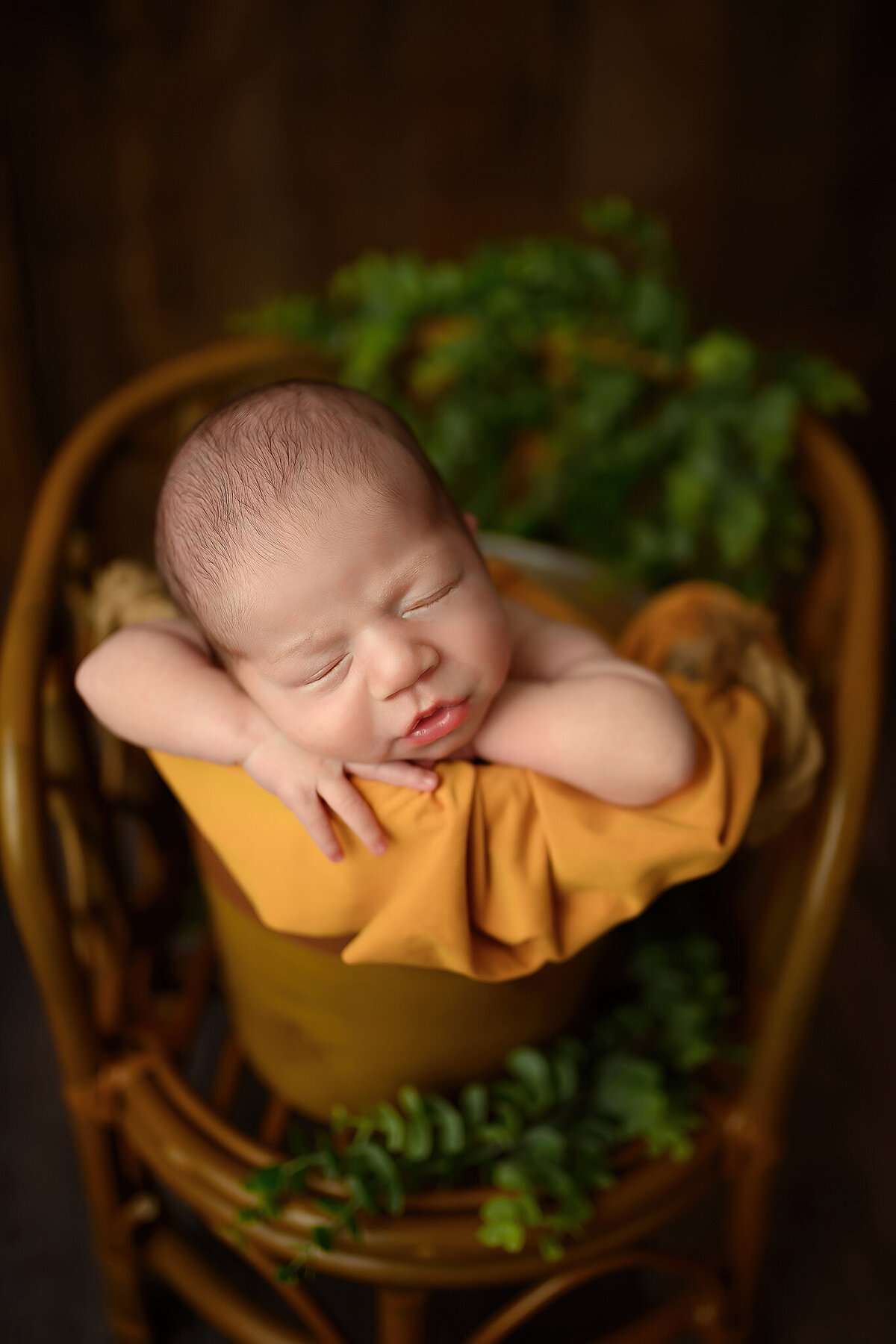 baby boy posed in a bucket on a bamboo chair with green foliage and wood background