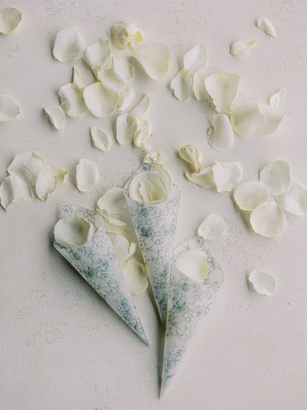 Chloe_Hunter_Mill_and_Mine_Wedding_Abigail_Malone_Photography-56