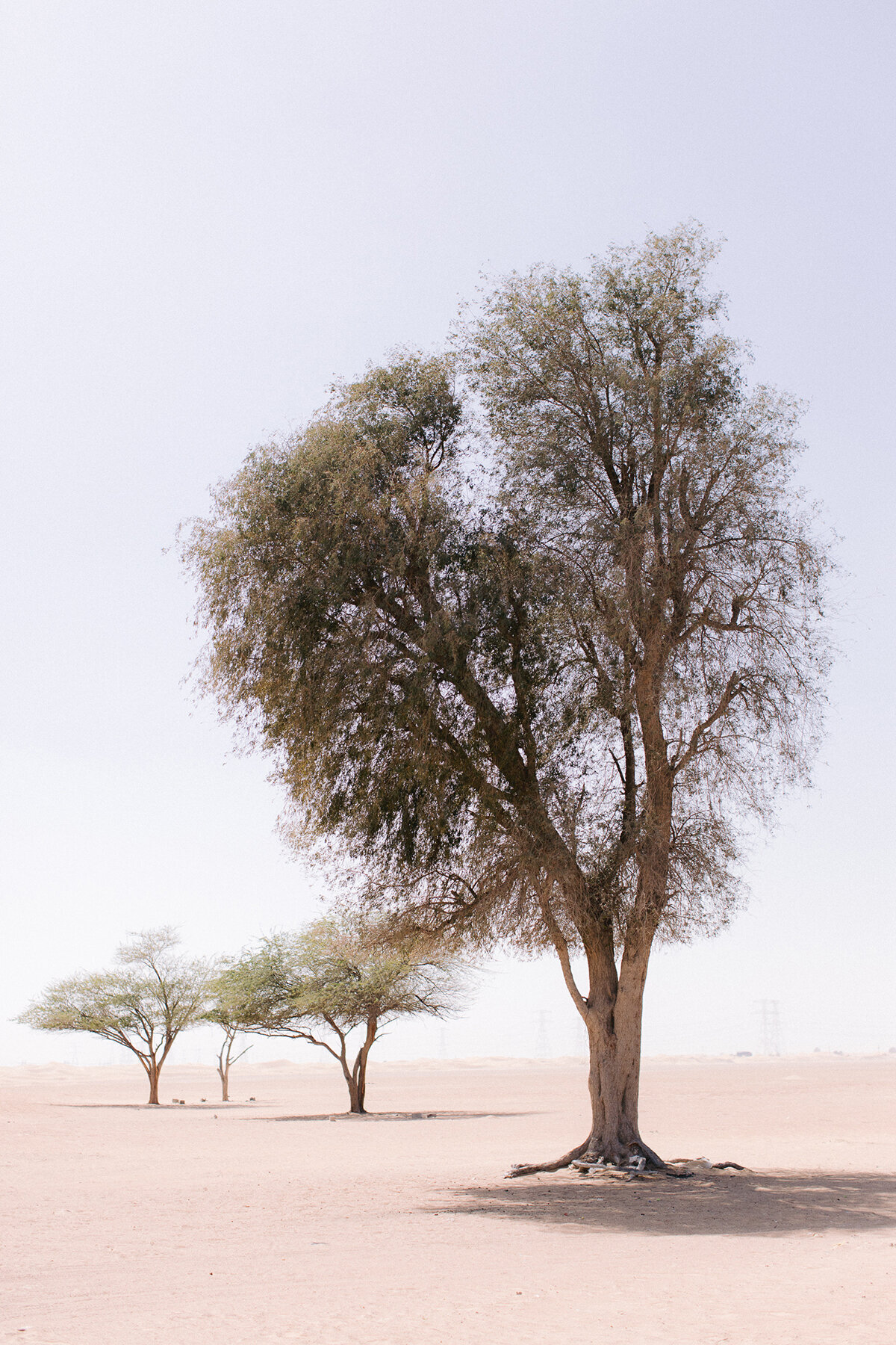 Michelle Norwood Living - Luxury Travel Inspiration - Dubai - erickelley-00731