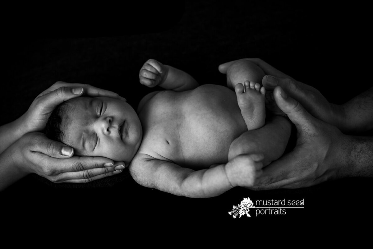 newborn photoshoot in NJ - 01