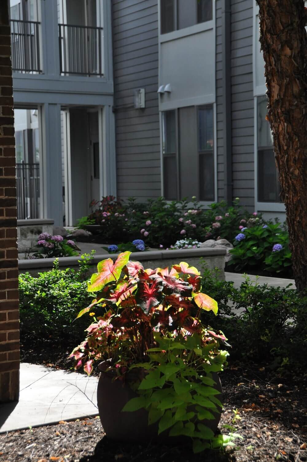 Commercial landscape company project in Kansas City