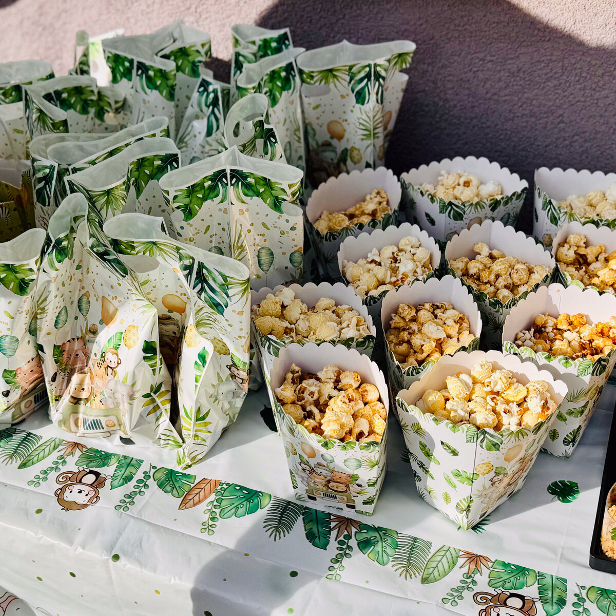 backyard-kids-2nd-birthday-jungle-theme_2802