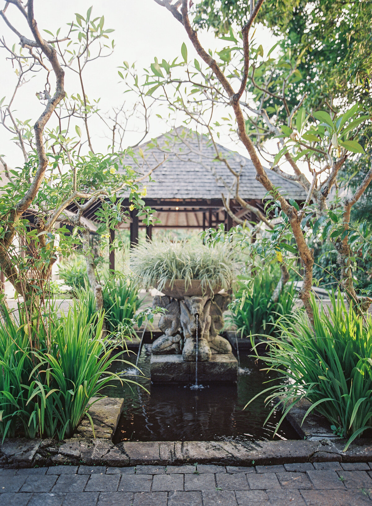 Bali_Venue_glasshouse_Tirtha_Uluwatu_Top_Top_Wedding_Fine_Art_Film_Photographer__Luxury_Wedding_Asian_Vicki_Grafton_Photography.JPG10