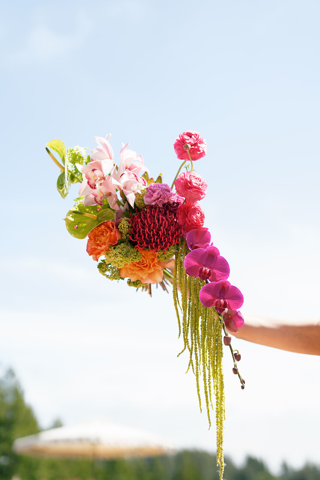 aveline-relic-colorful-pink-wedding-19