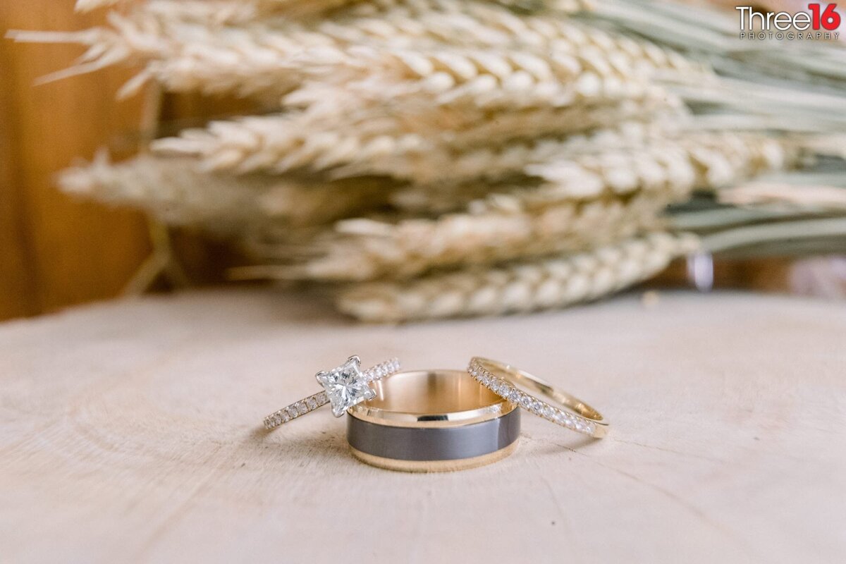 Bride and Groom's wedding rings