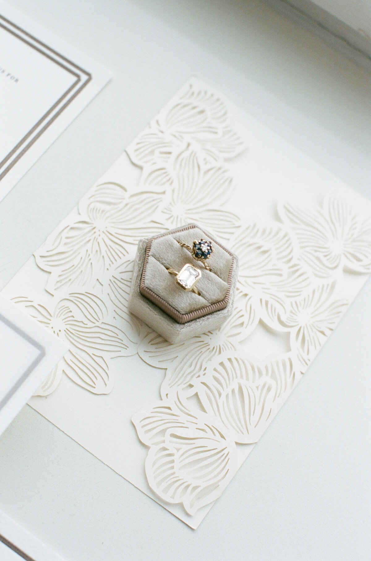 Jenny Losee Photography (8 of 47)