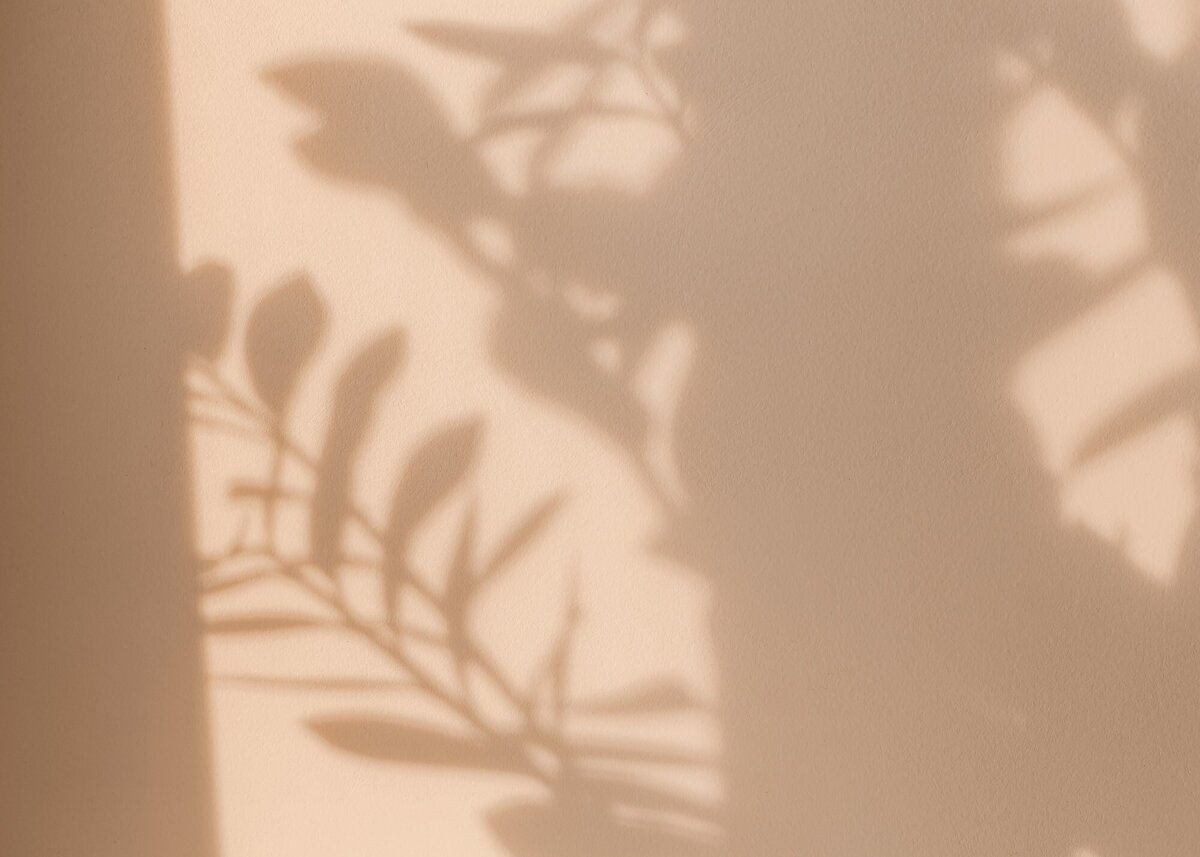 pink shadow of flowers
