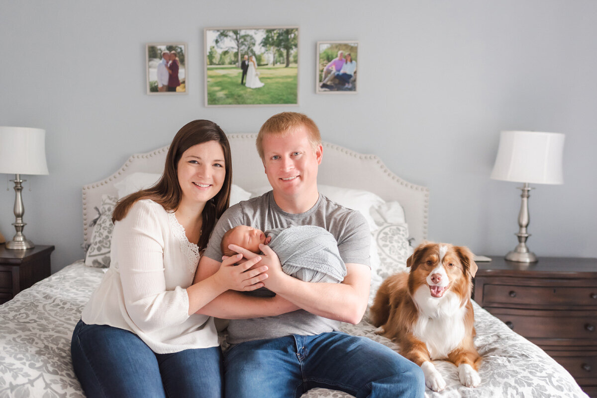 aurora-new-baby-in-home-session-puppy-family