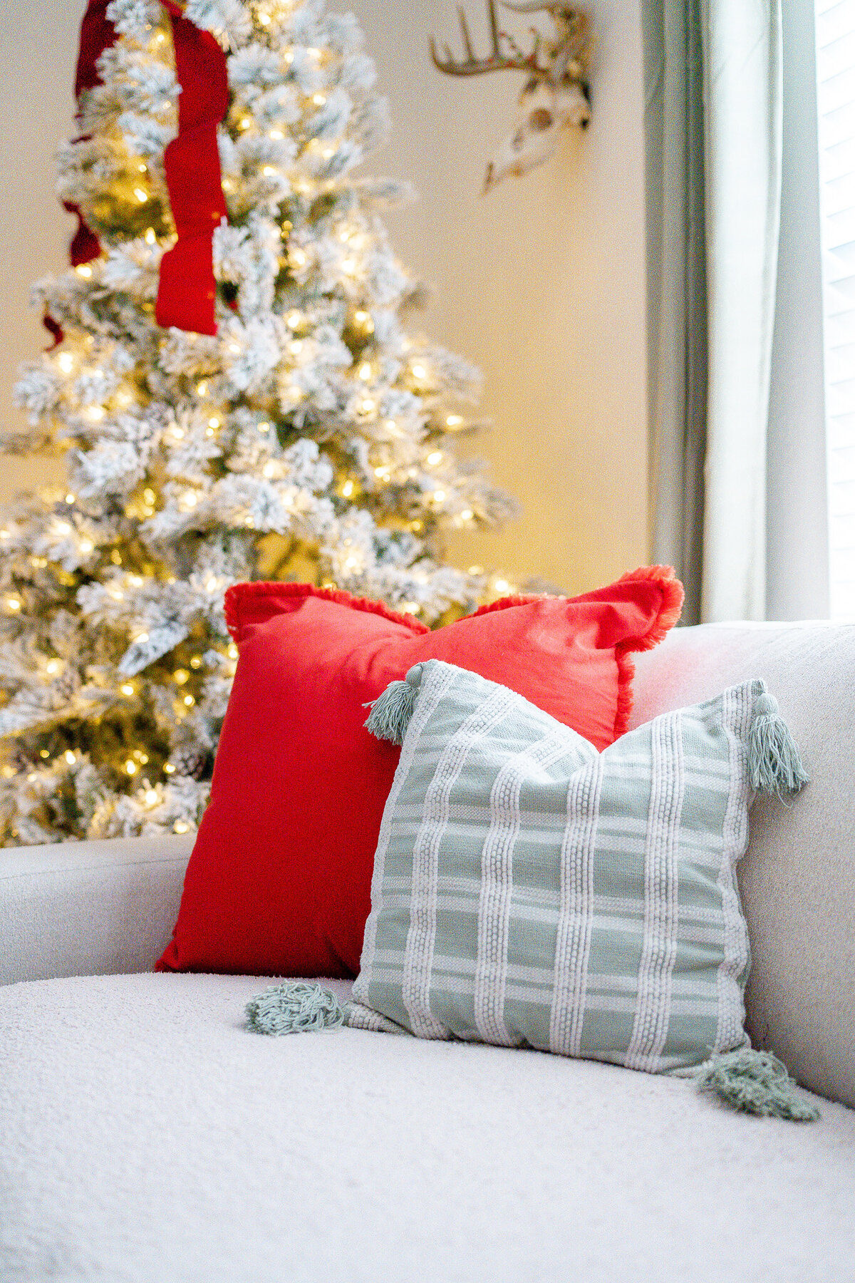 In home Photography Studio - Christmas Mini Sessions