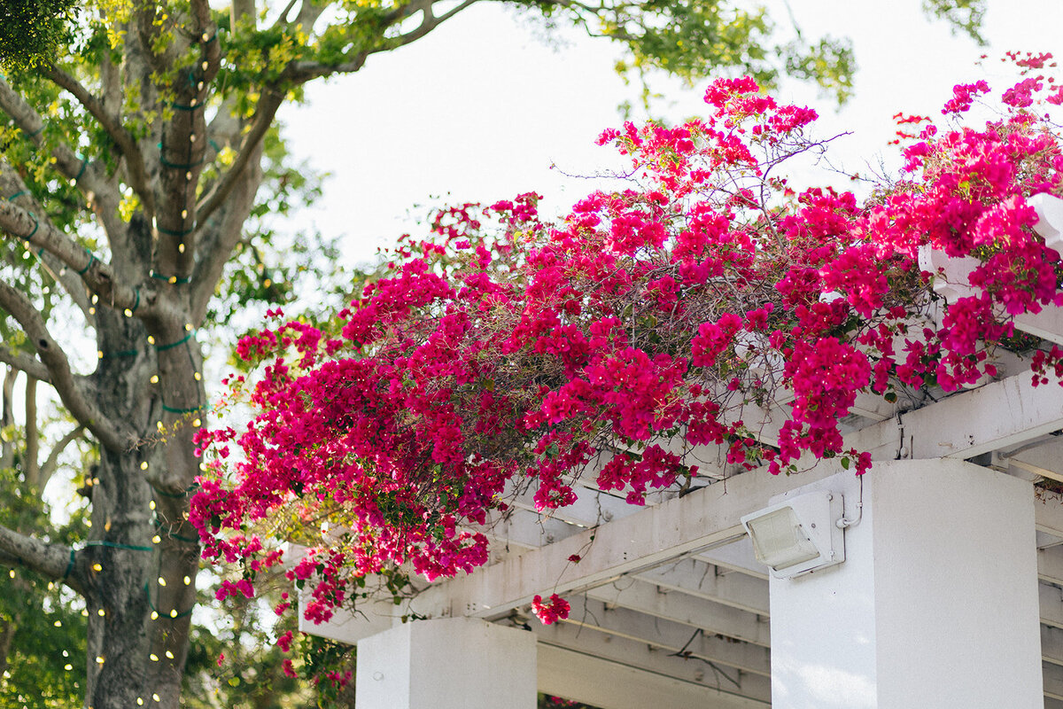 miranda-rose-photo-north-straub-park-elope-in-florida-chantilly-chic-celebrations-23