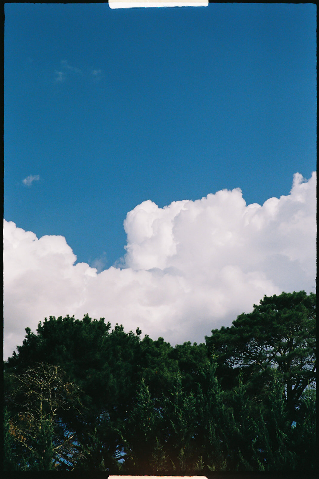 Shawnee & William Film-90_websize