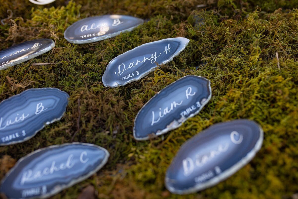 Alexandra-Matthew-Houston-Wedding-Planner-2