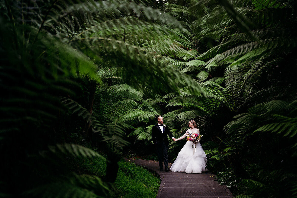 Margan_Photography_Australian_National_Botanic_Gardens-117