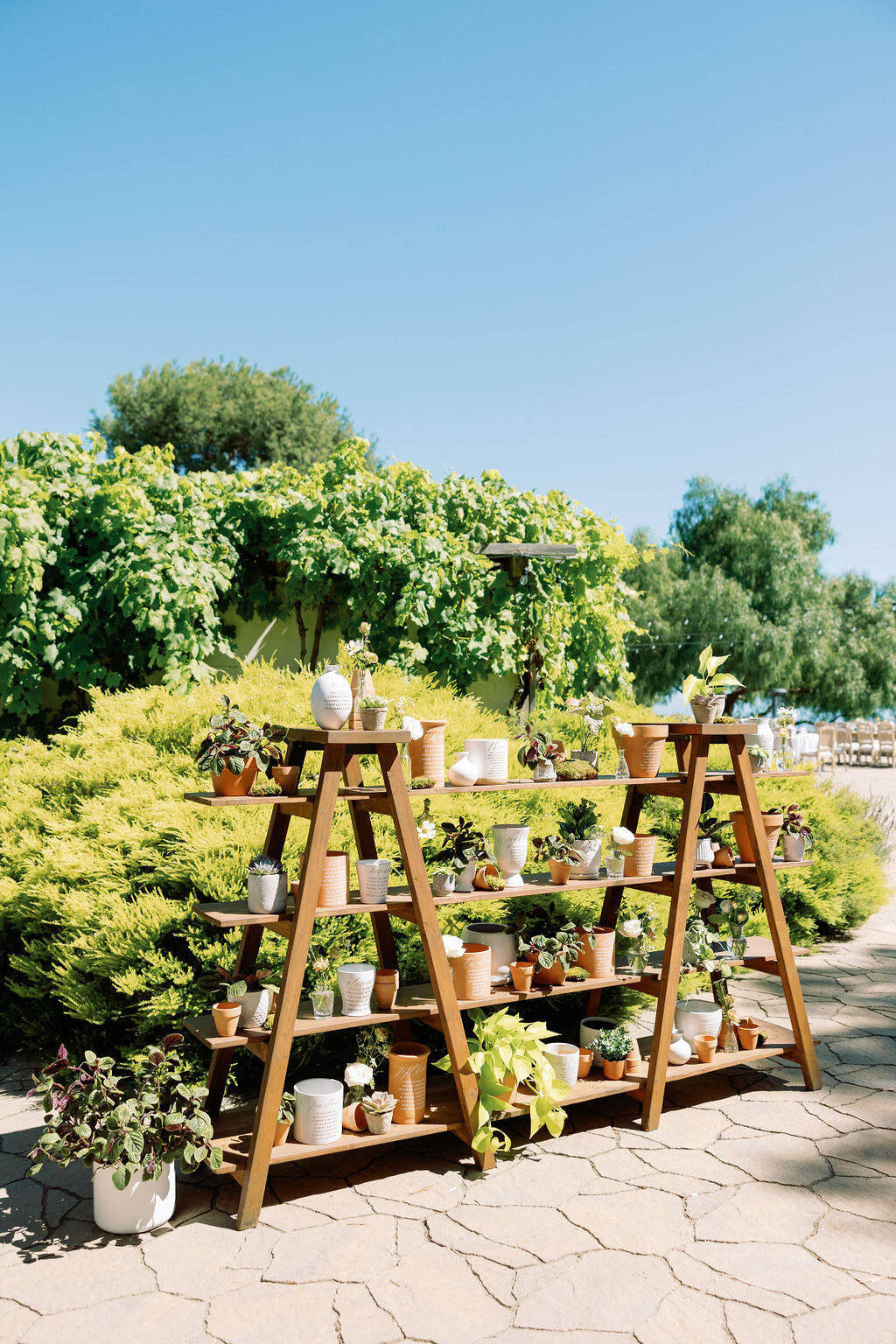 catalina-view-gardens-wedding-planner11
