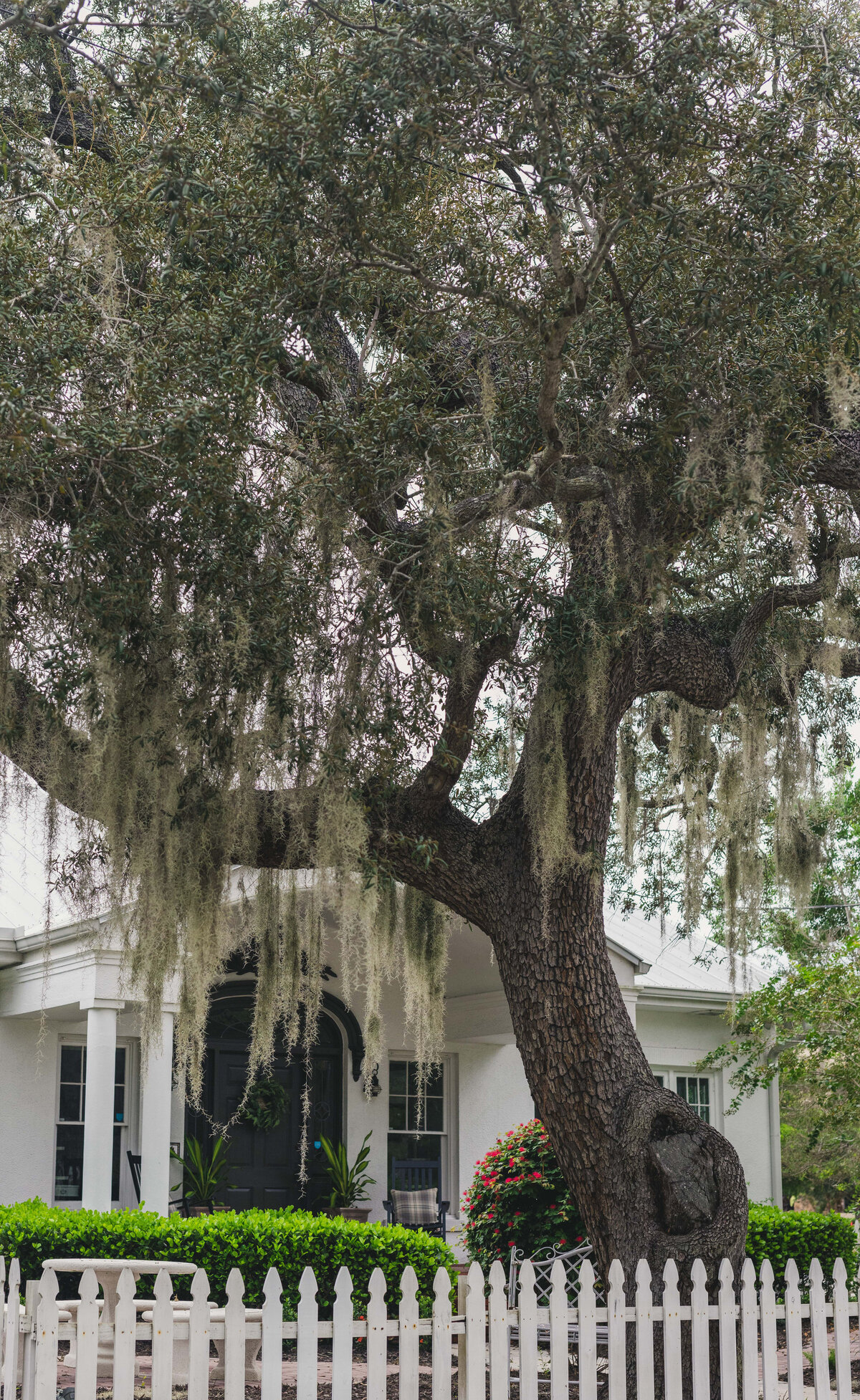 roohi-photo-tierney-lane-elopement-venue-3