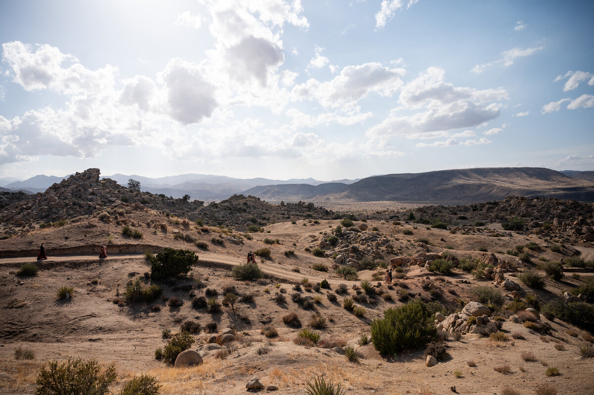joshua-tree-weddingdayna-brandt29