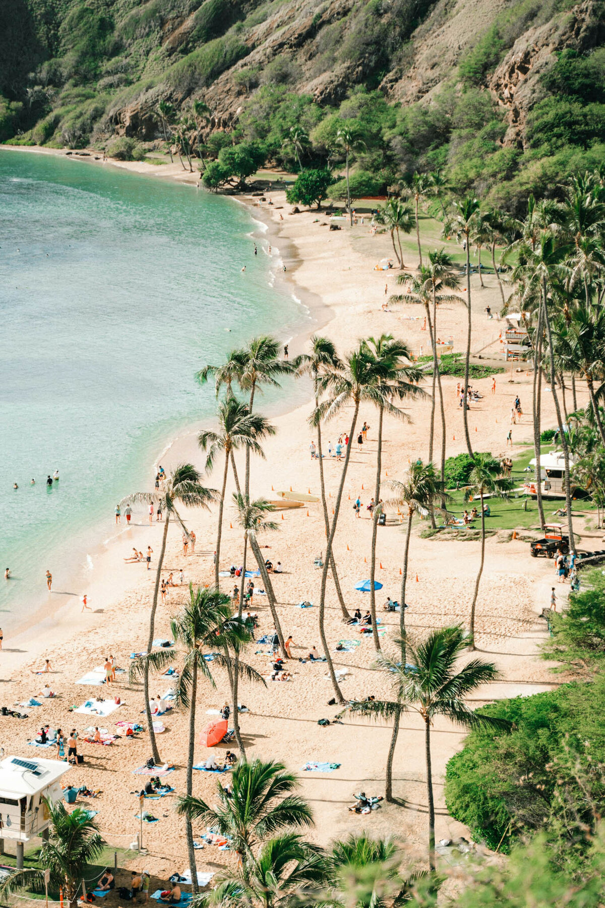 Aerial view of a tropical beach with golden sand and scattered sunbathers. Palm trees line the shore, while gentle waves kiss the coast. Perfect for personalized travel planning, lush green hills elegantly border this luxurious escape.