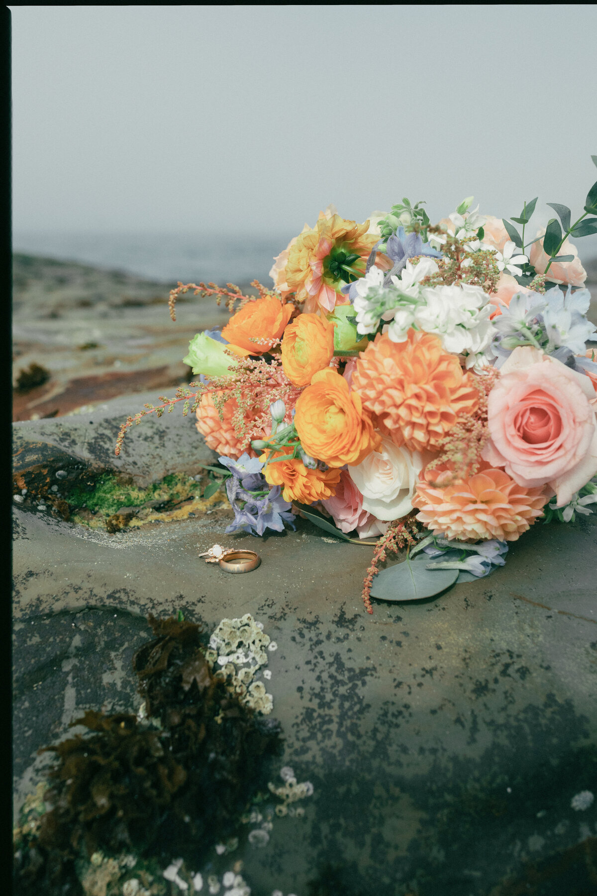 Carolina + Nick Santa Cruz Beach Elopement Wedding _ Katherine Krakowski Reno Lake Tahoe Nevada Northern California Photographer-533