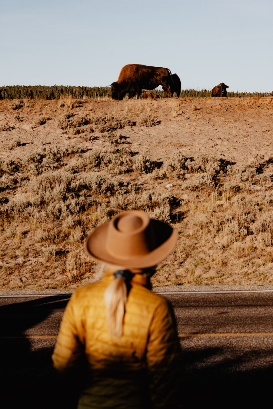 yellowstone-national-park-elopement-photographer-60