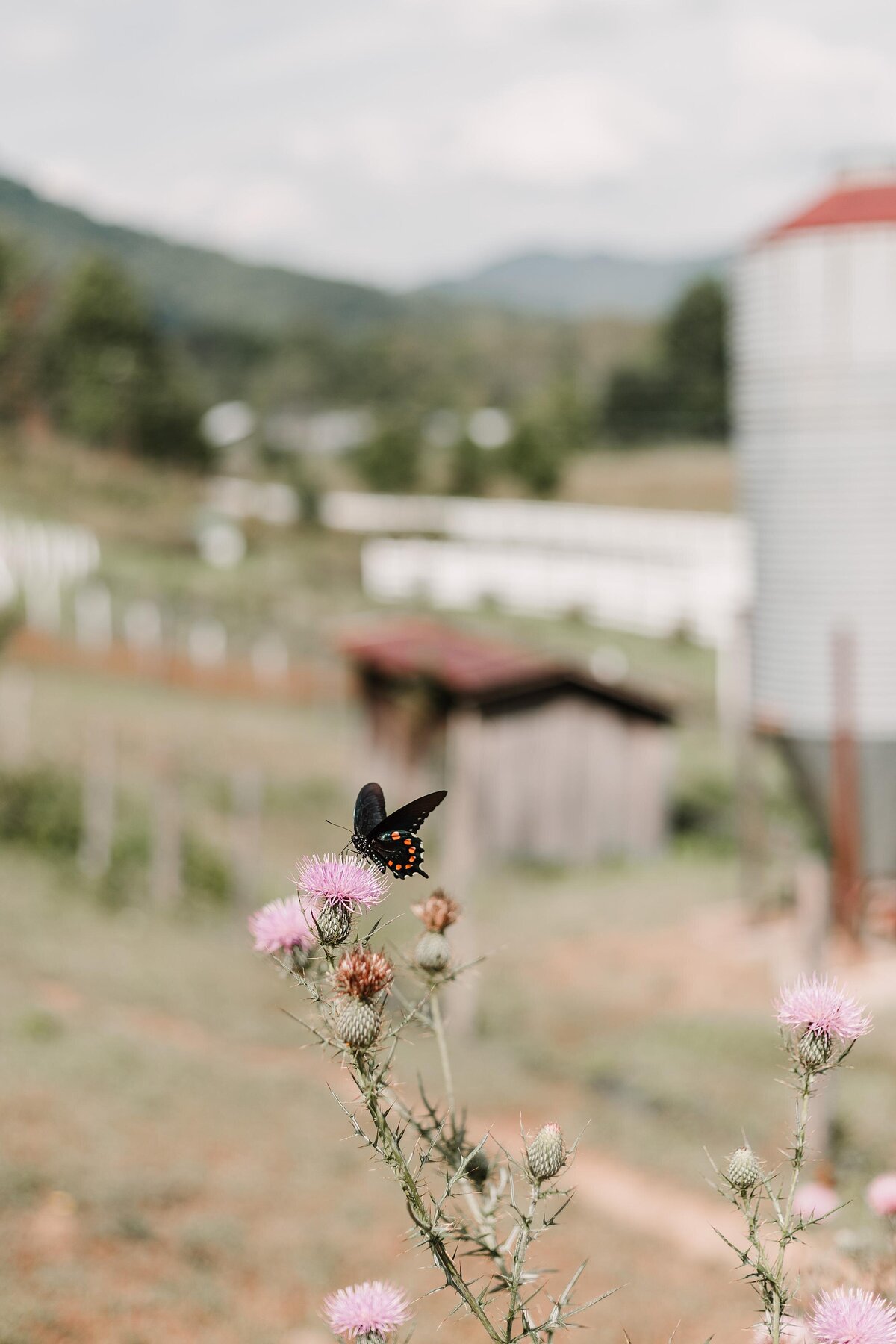 Barn 697 North Carolina Elopement Venue_0011