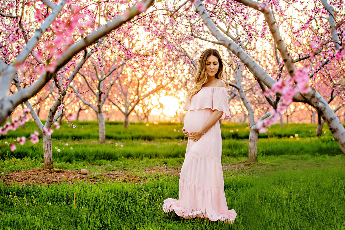 pregnant woman in a pink maternity dress in the pink cherry blossom outdoor Burlington maternity photography session 