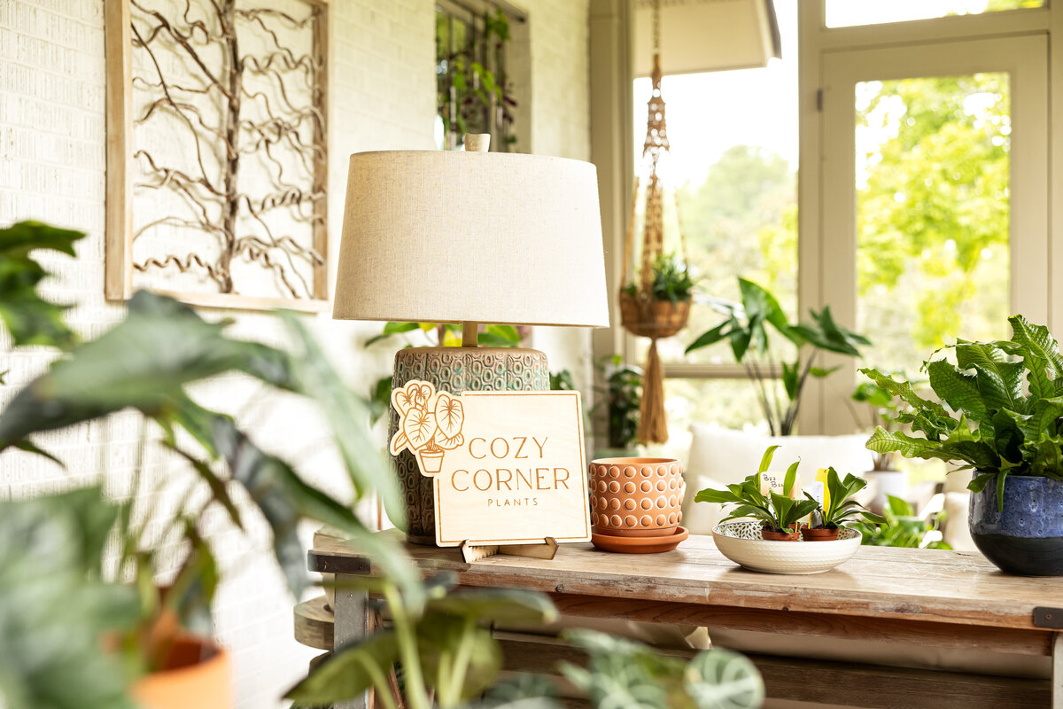 CozyCornerPlants3