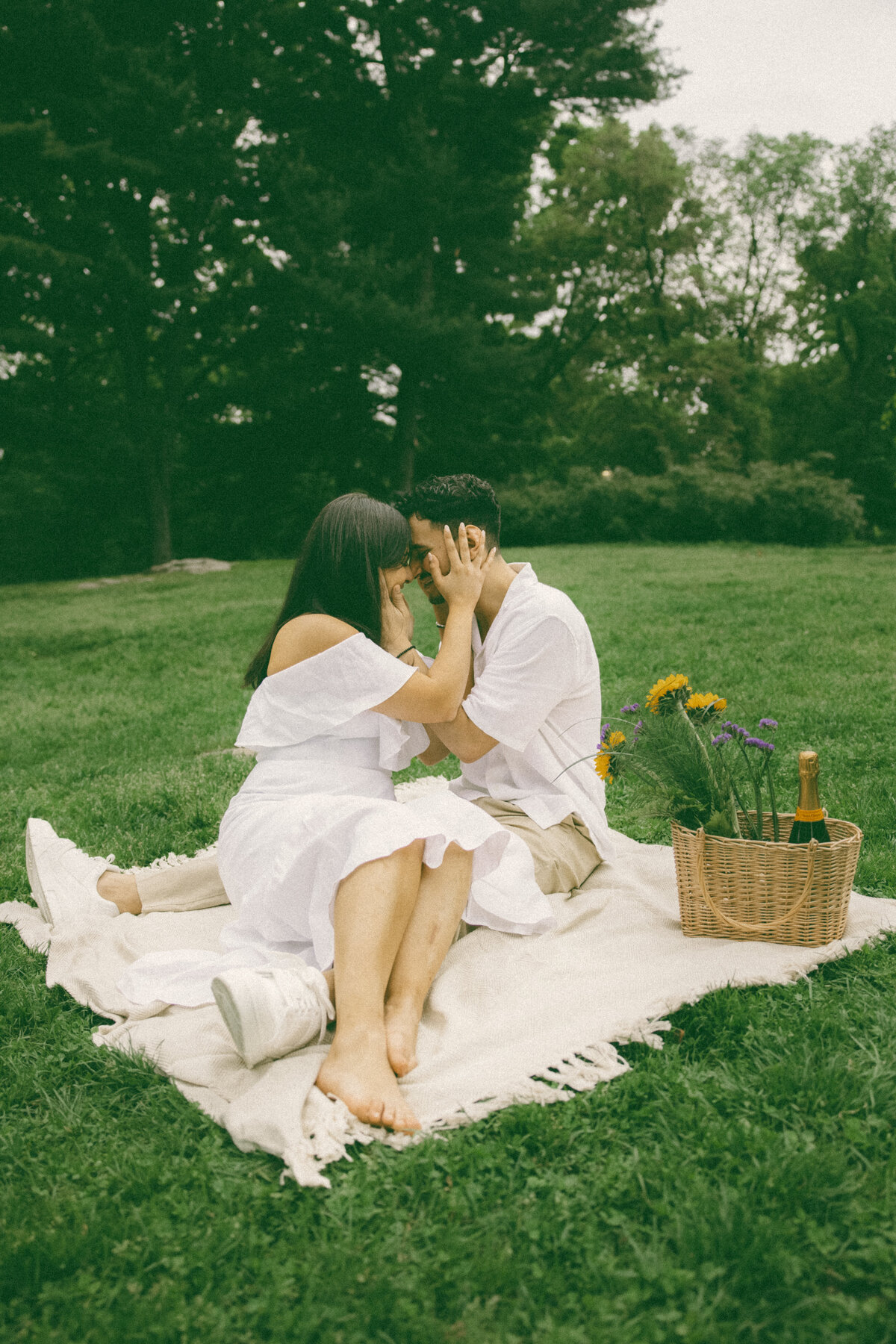 Kassiani Daniel Central Park Picnic Engagement Session 43