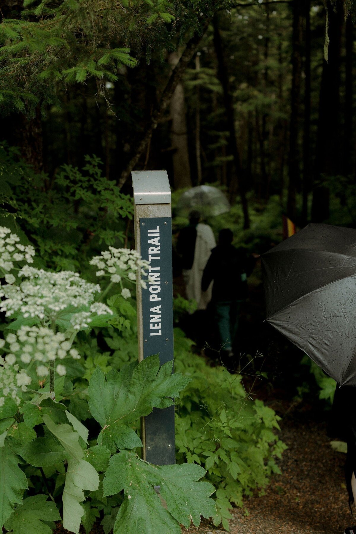 elope-in-minnesota-4