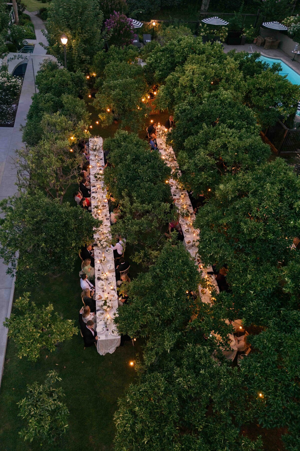 1WILLOWAND-BEN-WEDDING-PHOTOGRAPHER-NAPA-159