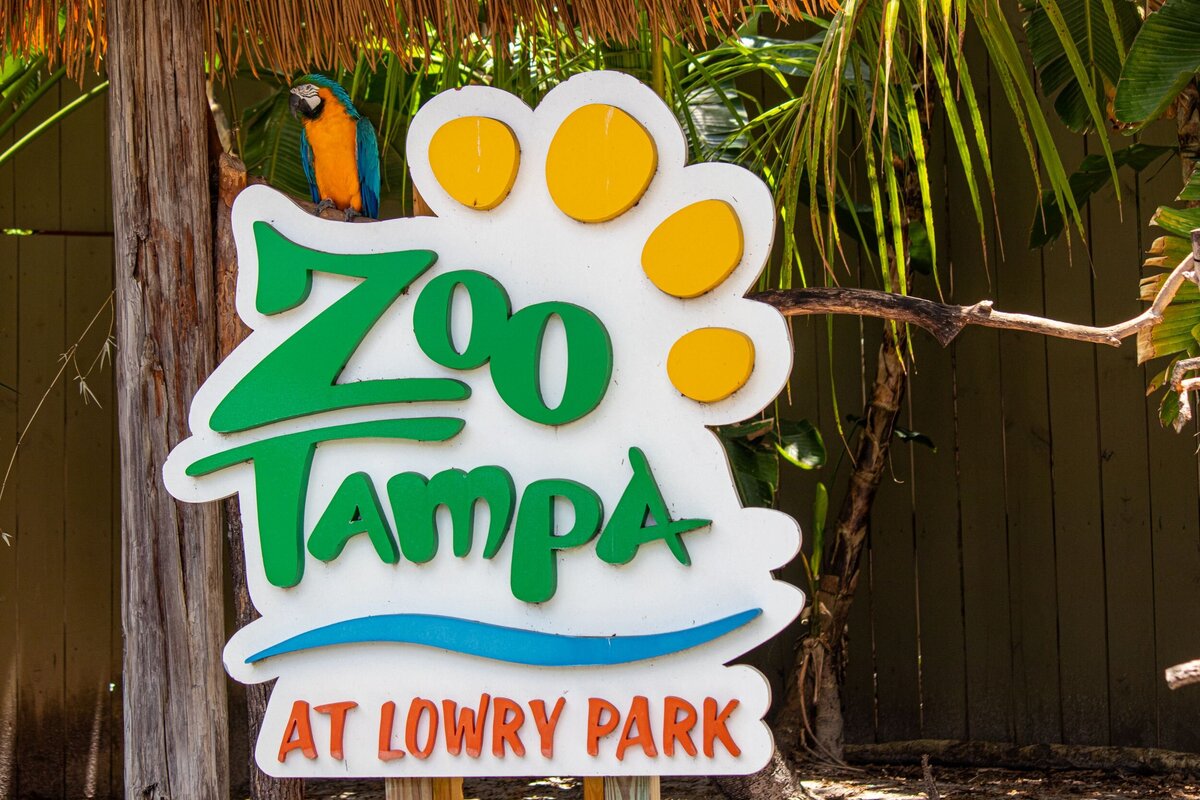 Parrot_on_sign-769dc088-2500