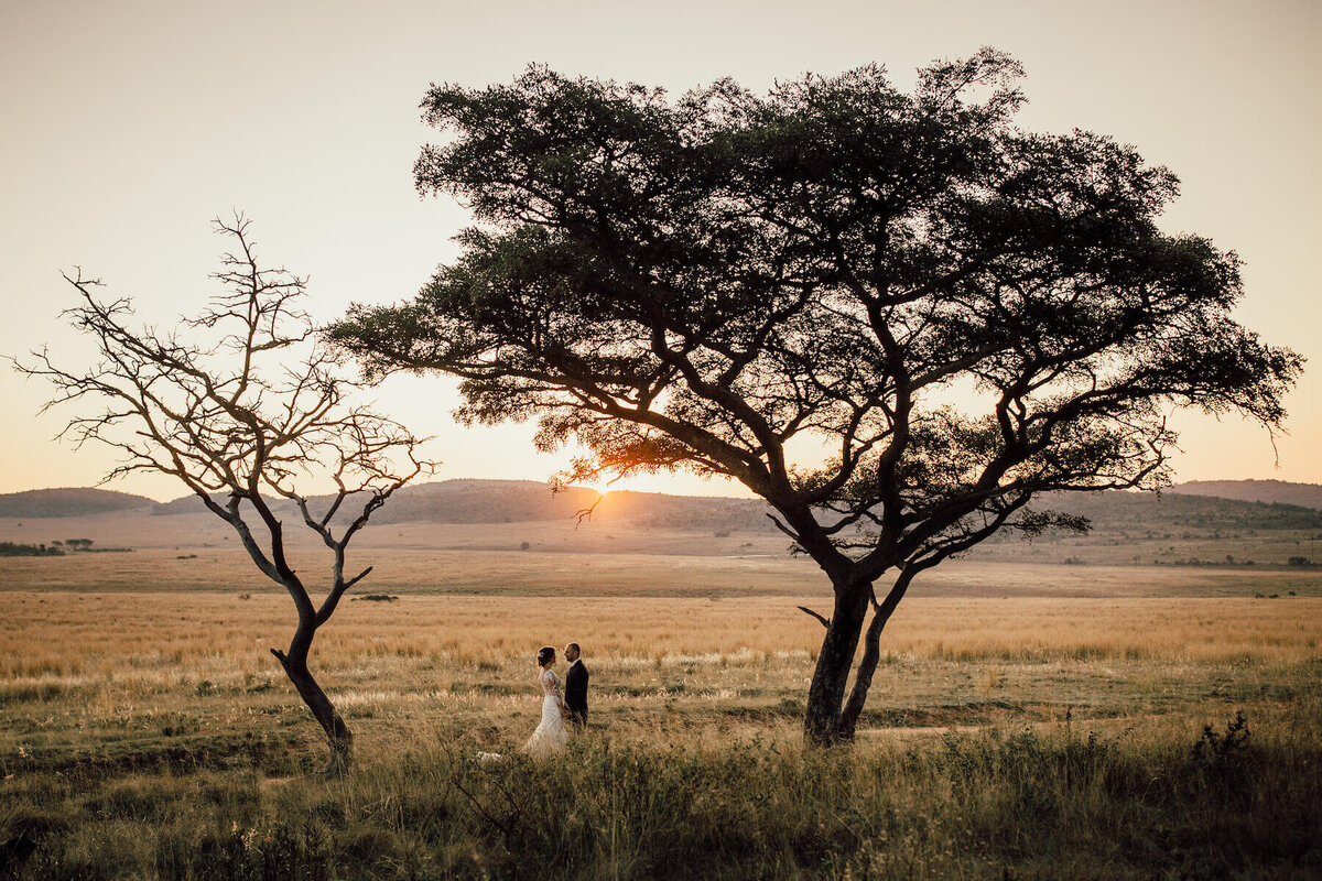 safari-elopement-south-africa-007