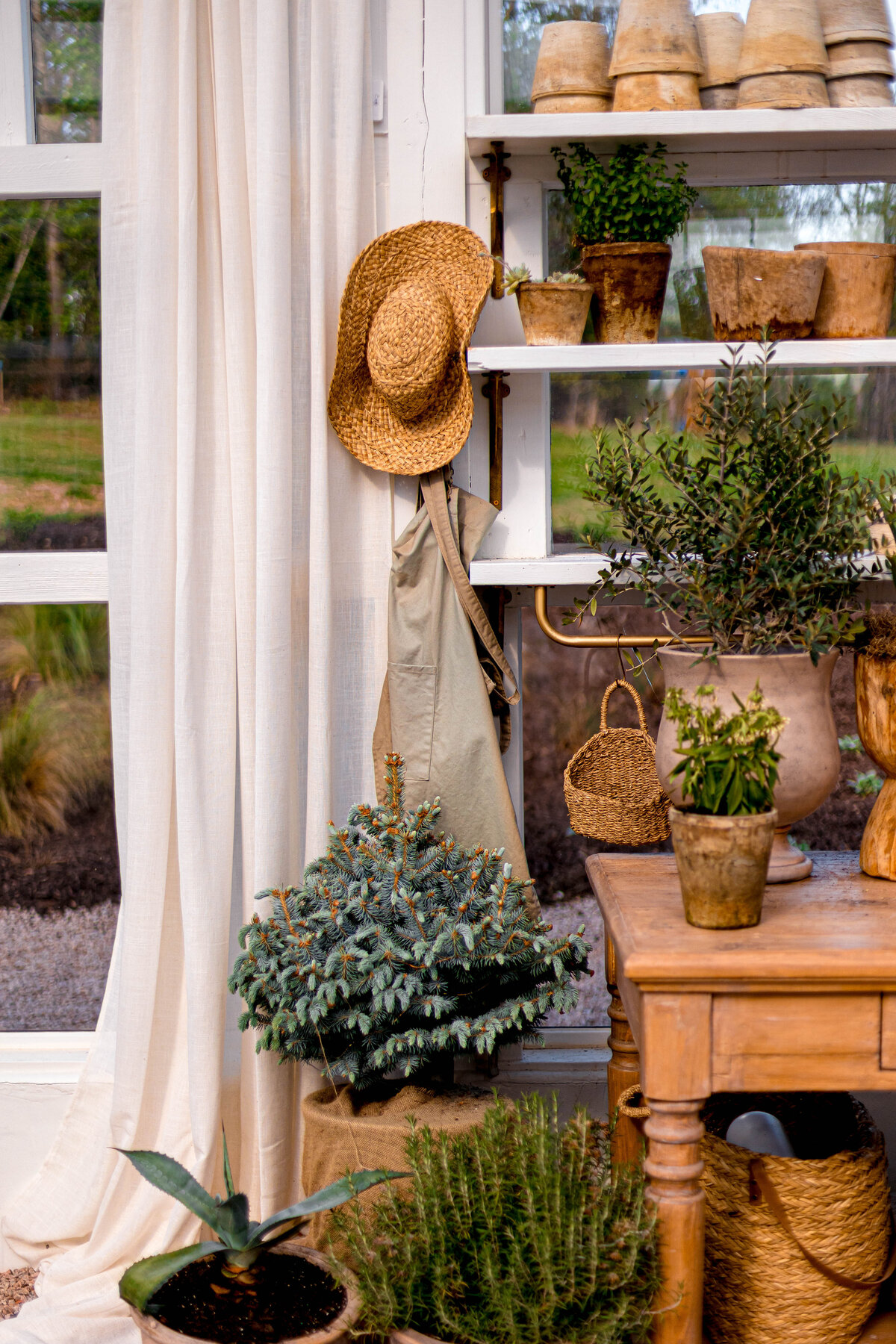 Gardening materials inside a sunny green house