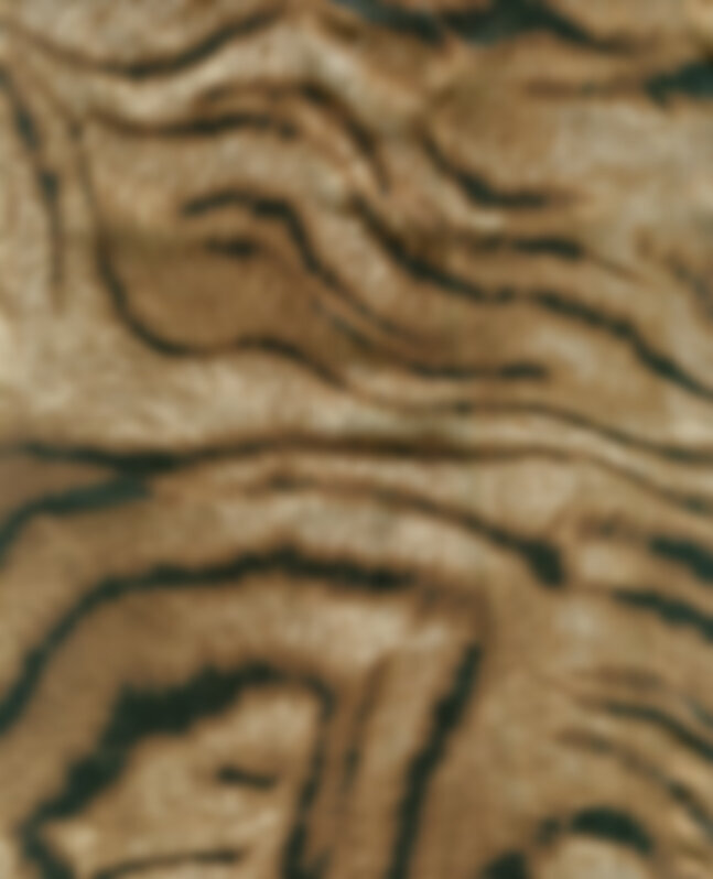 Brown luxury fur fabric