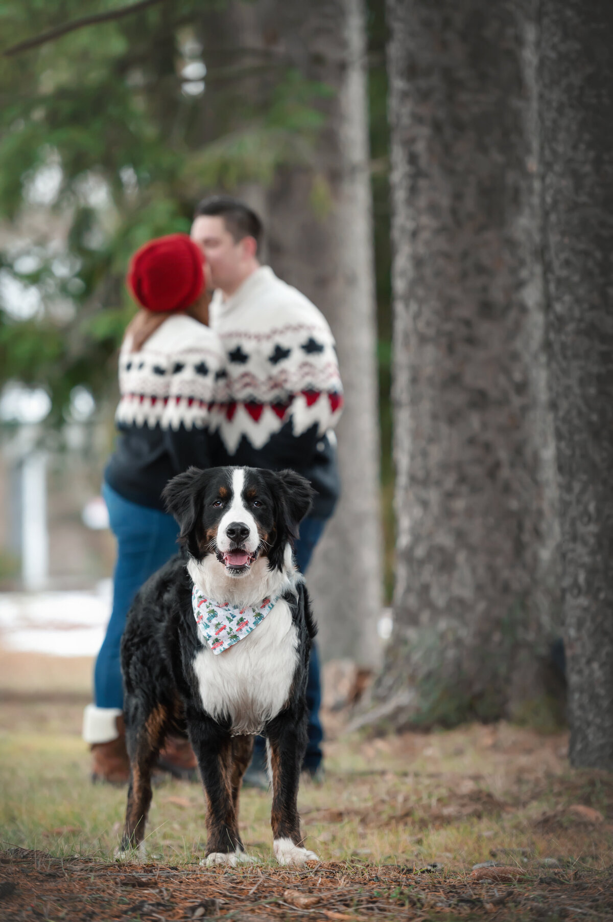 Ottawa Family Photographer (12)