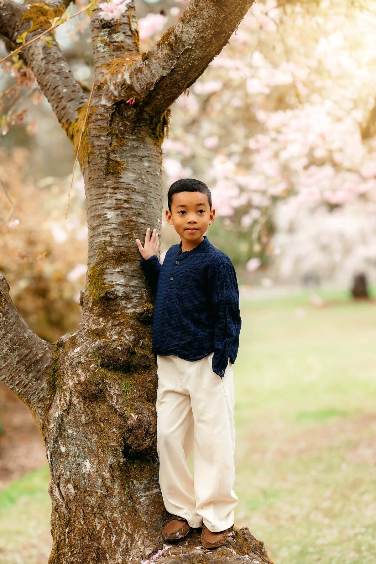 Chicago family photographer