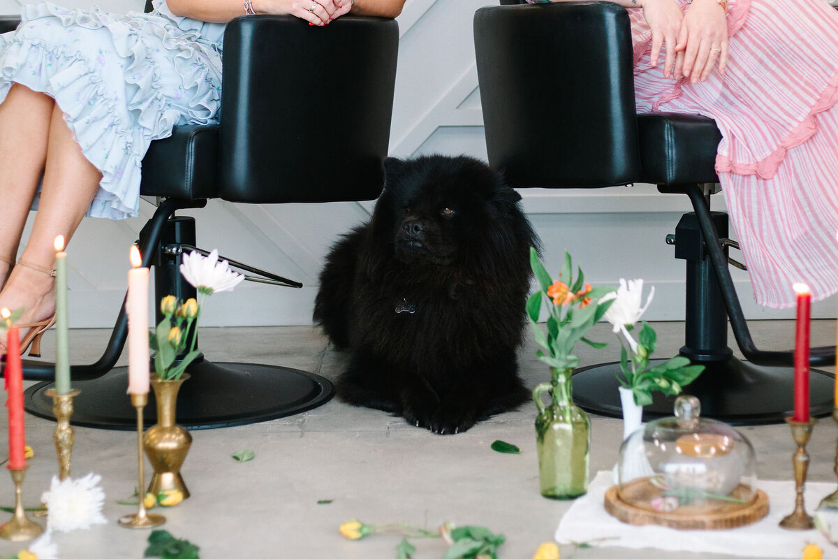 Layne Parlor Layne & Co. Salon Services