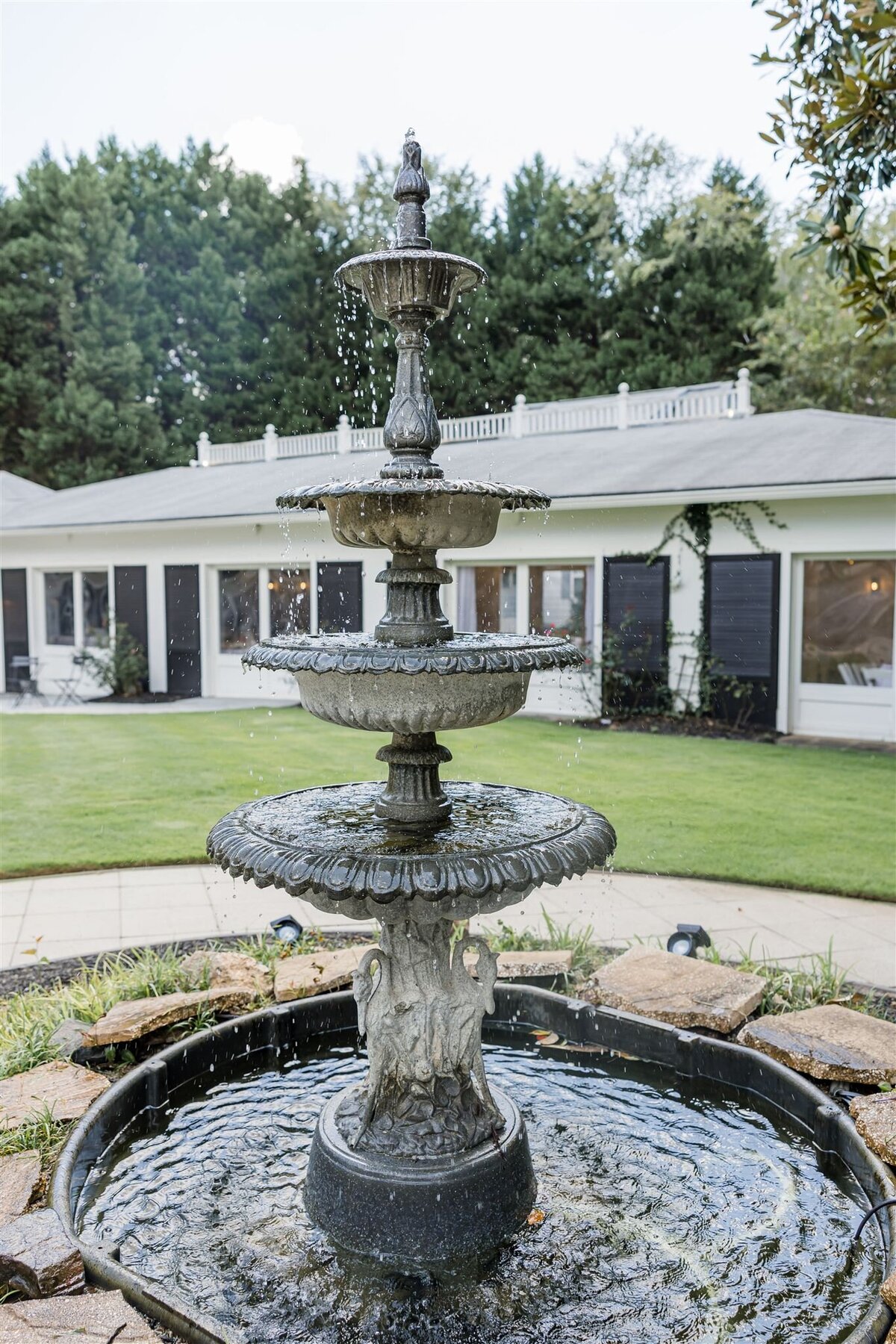 006-OLAS-5W9A8384_websize