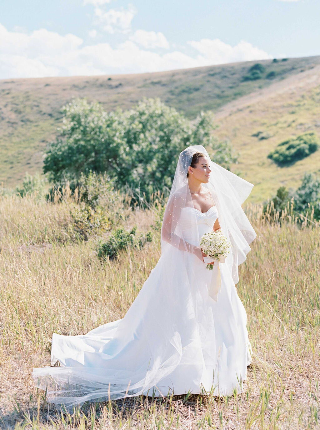 sarahharvey_abbenhauswedding403667